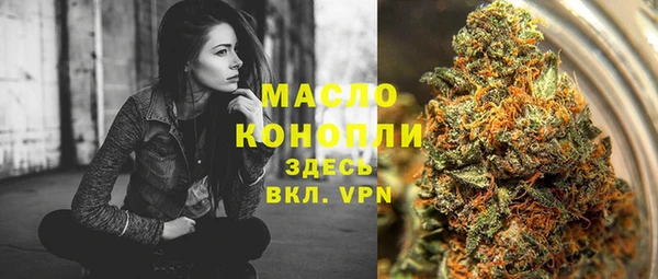 молекула духа Строитель