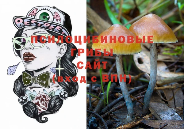 молекула духа Строитель