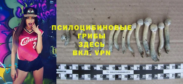 молекула духа Строитель