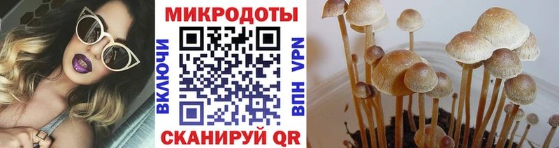 купить наркоту  Белокуриха  Псилоцибиновые грибы GOLDEN TEACHER 